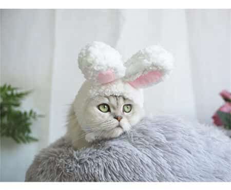 Funny cap for cats and small dogs in bunny shape 2