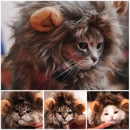 Funny Cute Pet Cat Costume Lion Mane Wig Cap Hat for Cat Dog Halloween Christmas Clothes Fancy Dress with Ears Pet Clothes 3