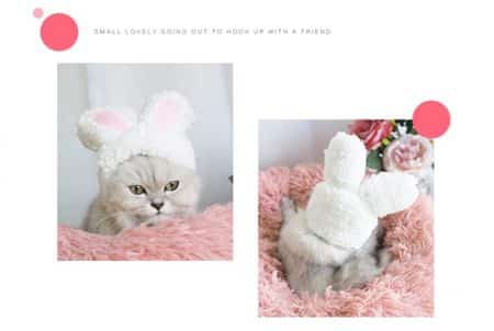 Funny cap for cats and small dogs in bunny shape 6