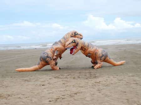 Aufblasbares Dinosaurier Kostüm für Kinder und Erwachsene 19
