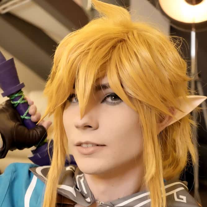 The Legend of Zelda: Breath of the Wild Link Wig Cosplay Wig with Ears 3