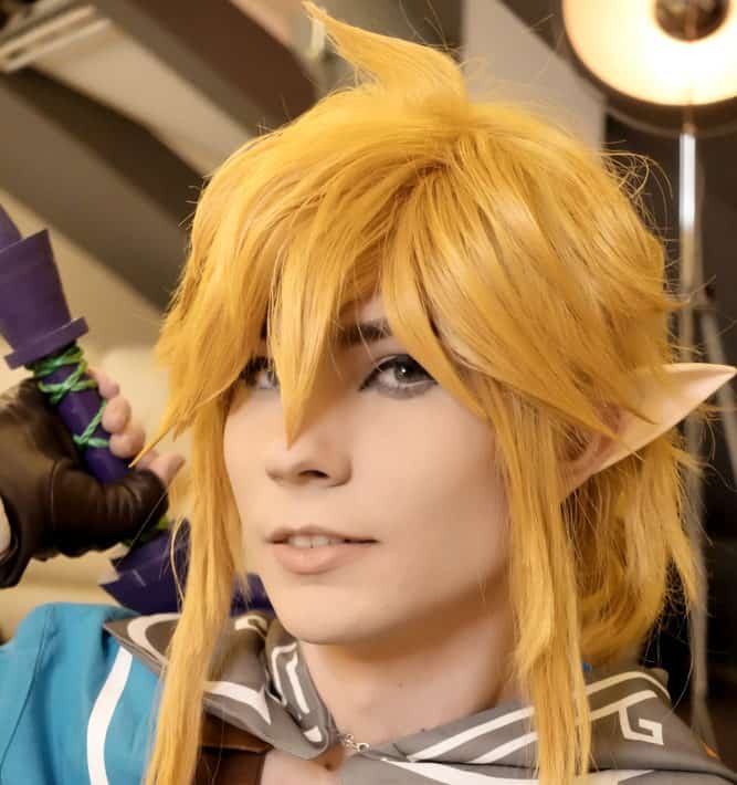 The Legend of Zelda: Breath of the Wild Link Wig Cosplay Wig with Ears 26