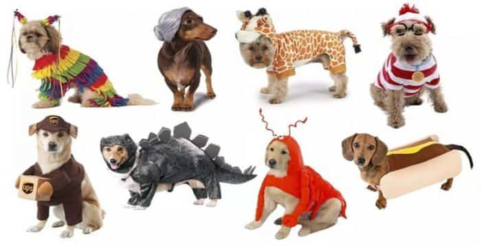 Dog costumes options
