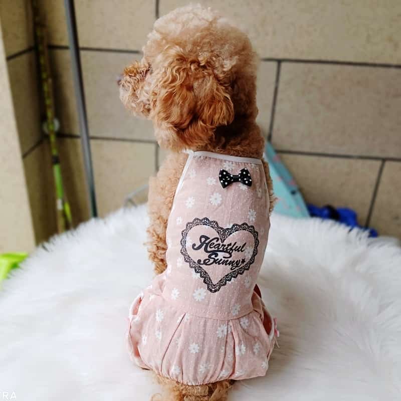 Designer Pet Clothing For Dog Animal Newest Lace Floral Yorkshire Chihuahua Summer Cooling Costume Overall For Puppy Cat Goods 3