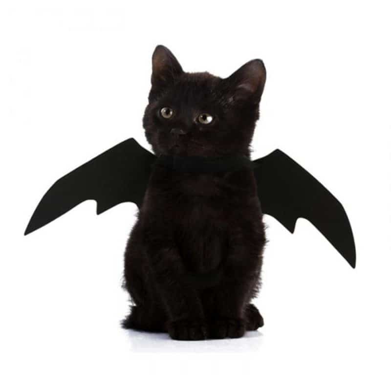 2019 New OLN Pet Dog Cat Bat Wing Cosplay Prop Halloween Bat Fancy Dress Costume Outfit Wings Cat Costumes Photo Props Headwear 1