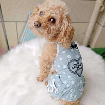 Designer Pet Clothing For Dog Animal Newest Lace Floral Yorkshire Chihuahua Summer Cooling Costume Overall For Puppy Cat Goods 4