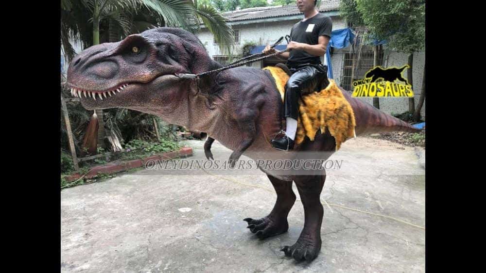 Dinosaur Rider
