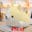 1pc Lovely Fat Shiba Inu & Corgi Dog Plush Toys Stuffed Soft Kawaii Animal Cartoon Pillow Dolls Gift for Kids Baby Children 15