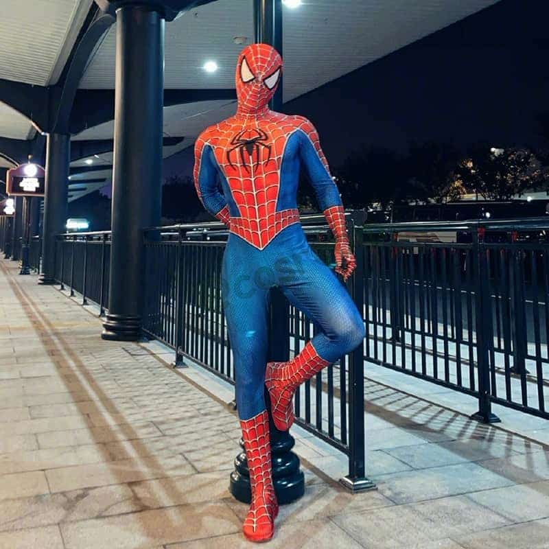 Spider Cosplay Kostüm Spinne 3