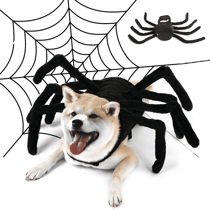 Halloween Spinnen Hunde Kostüm Tierkostüm 17