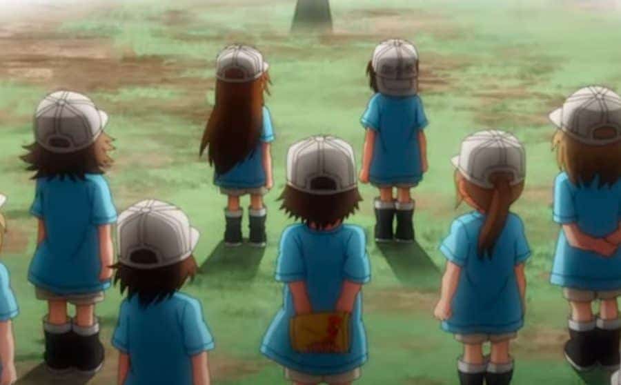 Platelets - Cells At Work