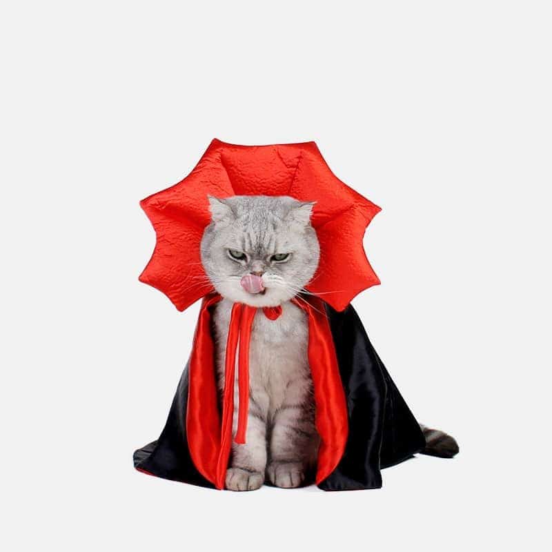 Cute Halloween Pet Costumes Cosplay Vampire Cloak For Small Dog Cat Kitten Puppy Dress Kawaii Pet Clothes Cat Accessoties Gift 1