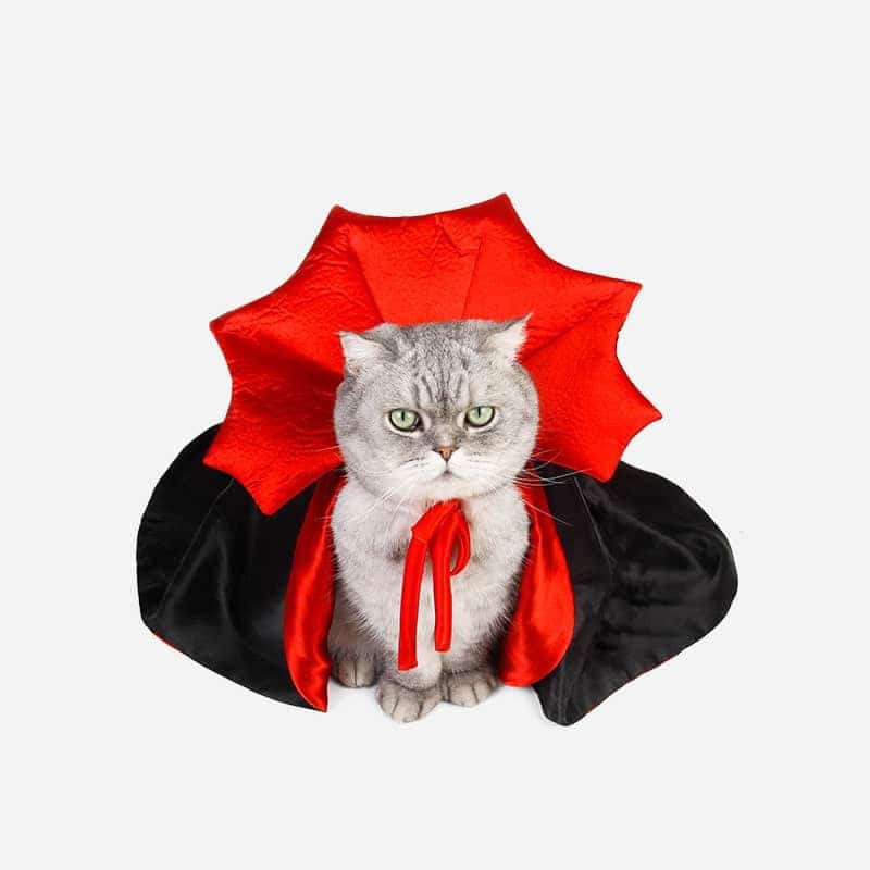 Cute Halloween Pet Costumes Cosplay Vampire Cloak For Small Dog Cat Kitten Puppy Dress Kawaii Pet Clothes Cat Accessoties Gift 5