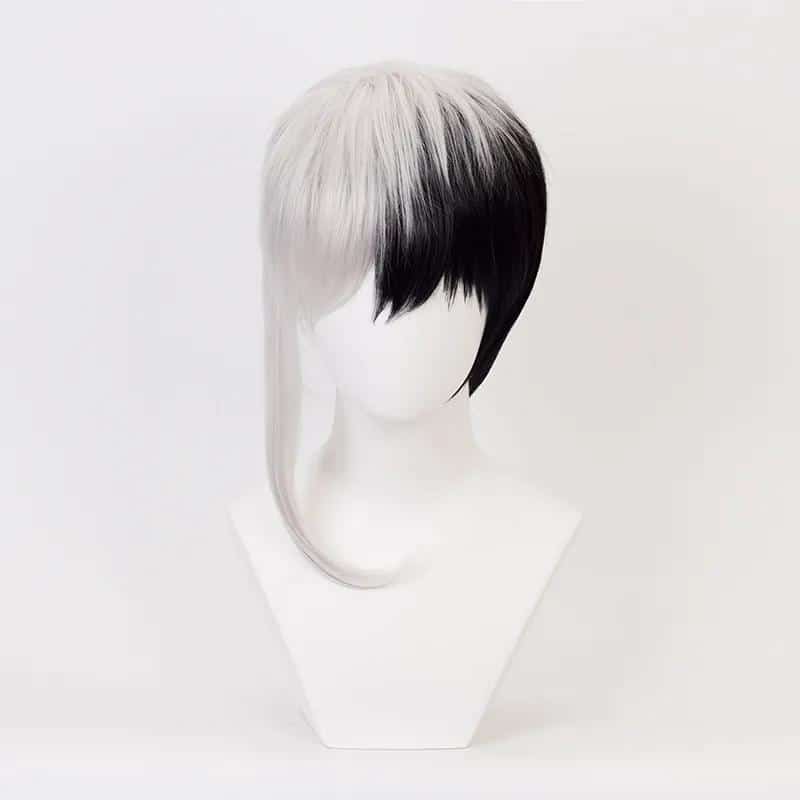 Dr.stone Cosplay Asagiri Gen Black Silver White Mixed Heat Resistance Fiber Men's Synthetic Hair Costume Cosplay Wig + Wig Cap 1